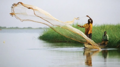 Cameroun / Idenau : La pêche brise les barrières